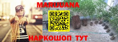 сатива Пенза